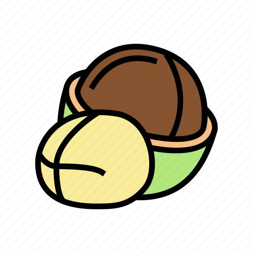 Macadamia, nut, delicious, natural, nutrition, peanut icon - Download on Iconfinder