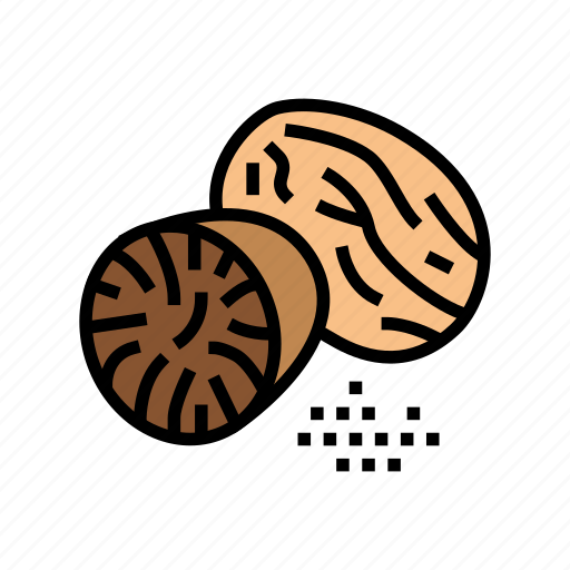 Nutmeg, nut, delicious, natural, nutrition, peanut icon - Download on Iconfinder