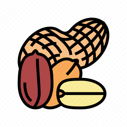Peanut, nut, delicious, natural, nutrition, almond icon - Download on Iconfinder