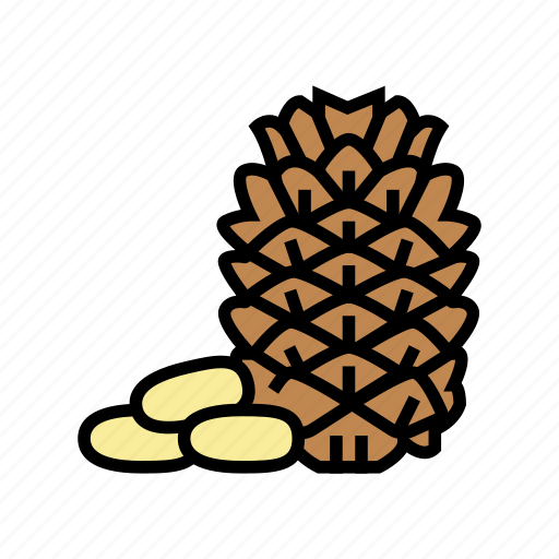 Pine, nut, delicious, natural, nutrition, peanut icon - Download on Iconfinder