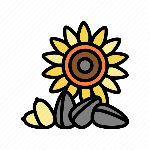 Sunflower, nut, delicious, natural, nutrition, peanut icon - Download on Iconfinder