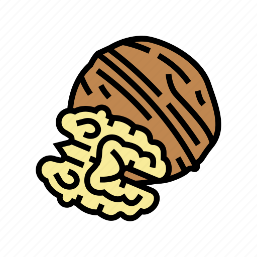Walnut, nut, delicious, natural, nutrition, peanut icon - Download on Iconfinder