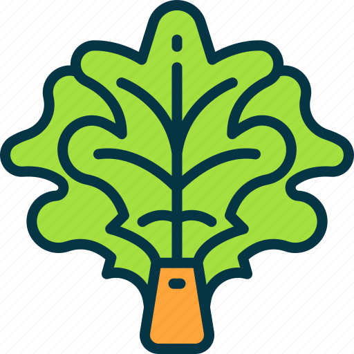 Lettuce, vegetable, food, healthy, leaf icon - Download on Iconfinder