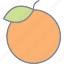 orange, citrus, healthy, fruit 