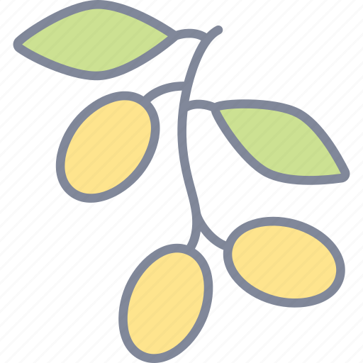 Olives, organic, healthy, fruit icon - Download on Iconfinder