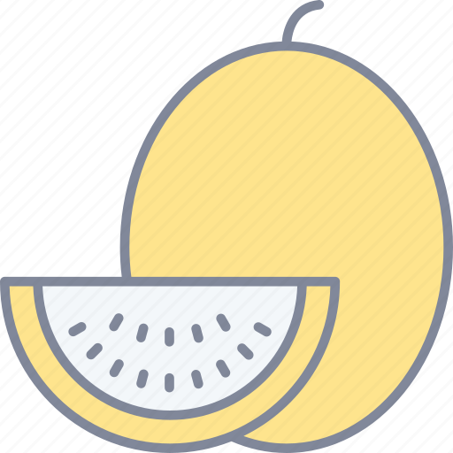 Melon, citrus, fruit, organic icon - Download on Iconfinder