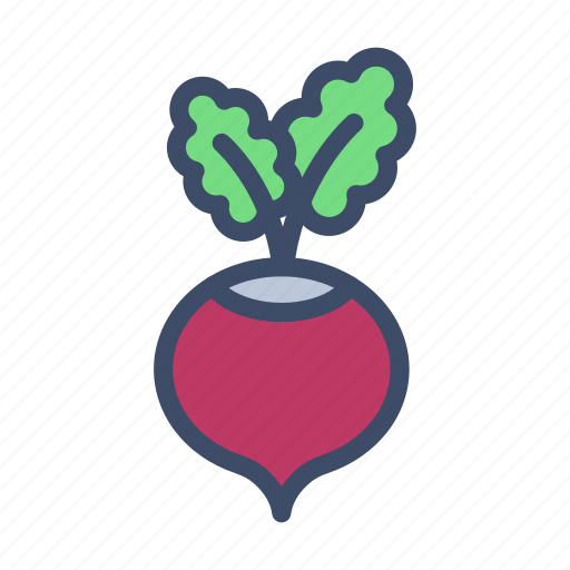 Turnip, food, vegetable, cooking, ingredient icon - Download on Iconfinder