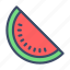 watermelon, food, fruit, nutrient, eating 