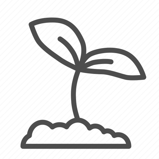 Plant, growth, small, ground, nature, leaf, garden icon - Download on Iconfinder