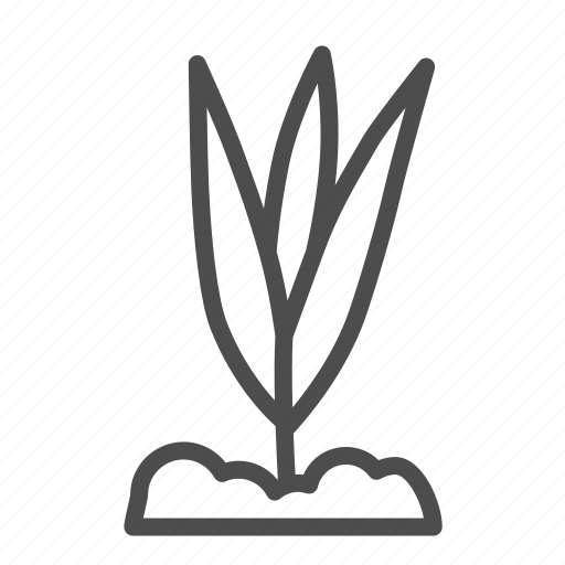 Plant, growth, small, leaf, floral, ground, nature icon - Download on Iconfinder