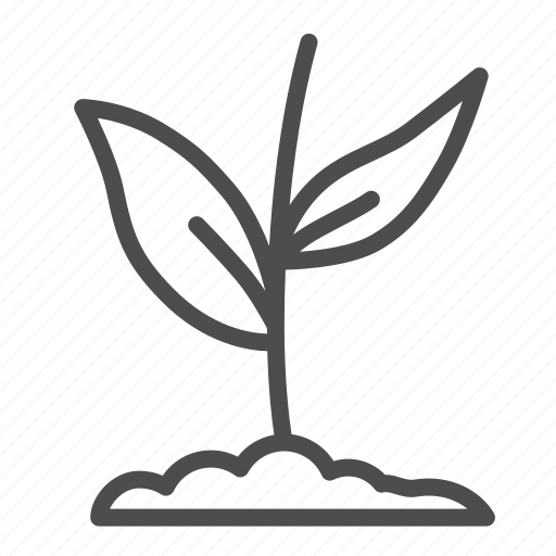 Plant, growth, small, ground, leaf, garden, nature icon - Download on Iconfinder