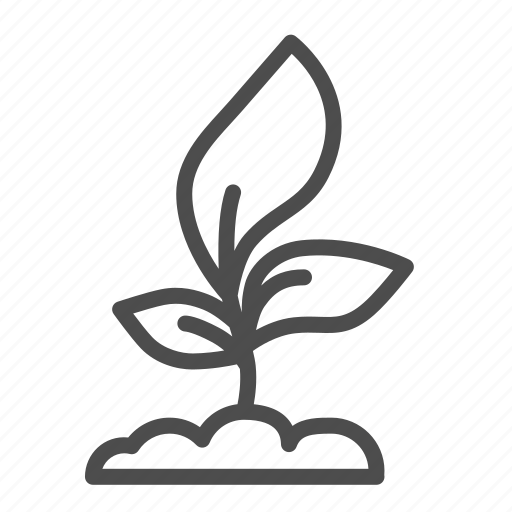 Plant, seedling, growing, grow, ground, leaf, floral icon - Download on Iconfinder