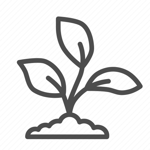 Plant, seedling, growing, seed, flower, leaf, ground icon - Download on Iconfinder