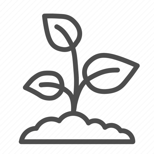 Plant, seedling, growing, sprout, ground, leaf, floral icon - Download on Iconfinder