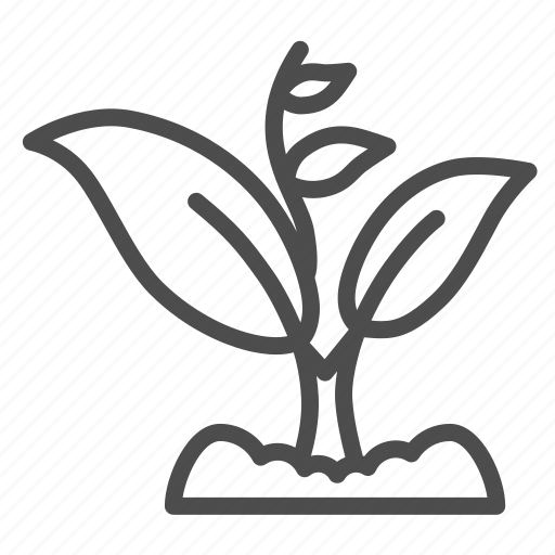 Sprout, plant, ecology, grow, ground, leaf, nature icon - Download on Iconfinder