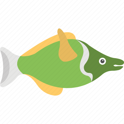 Bluegill, bluegill sunfish, fish, freshwater fish, walleye fish icon - Download on Iconfinder