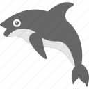 dolphin, fish, mammal, marine animal, sea life 