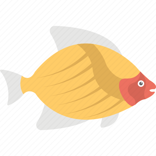 Aquatic fish, fish, freshwater fish, pet fish, sea life icon - Download on Iconfinder