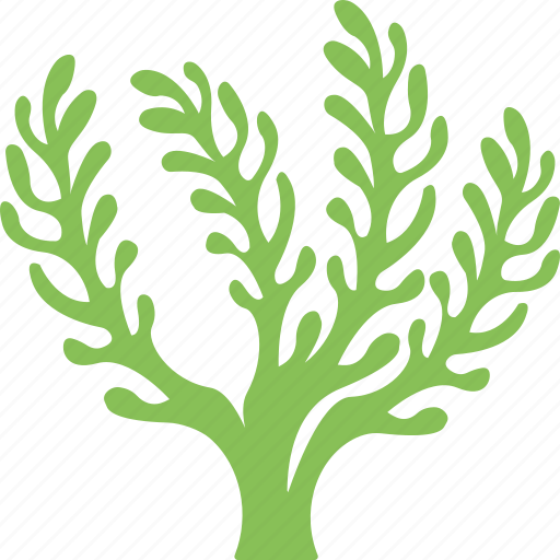 Algae, algae bloom, cladophora, seaweed, underwater alga icon - Download on Iconfinder