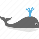 beluga whale, dolphin, killer whale, orca, whale 