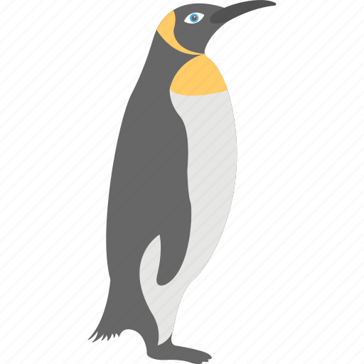 Animal, aquatic bird, penguin, sea life, seabird icon - Download on Iconfinder