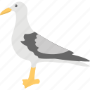 bird, cartoon, dove, peace bird, pigeon