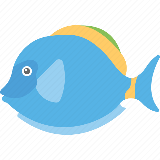 Aquatic fish, fish, freshwater fish, pet fish, sea life icon - Download on Iconfinder