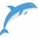dolphin, fish, mammal, marine animal, sea life