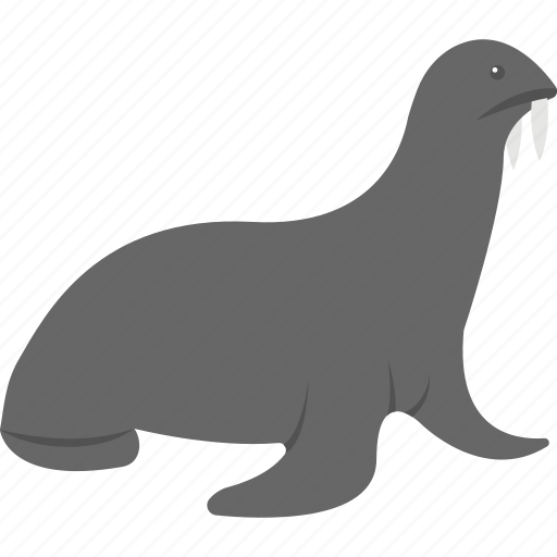 Animal, common seal, harbor seal, seal, true seal icon - Download on Iconfinder