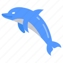 dolphin, fish, giant, sea, zoo, aquatic, animal