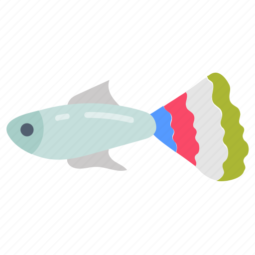 Guppy, common, crap, fish, goldfish, tropical, ocean icon - Download on Iconfinder