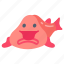 blobfish, fish, ugliest, animal, predator 