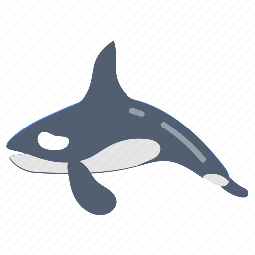 Orca, whale, blue, killer, species icon - Download on Iconfinder