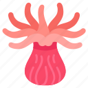 sea, anemone, actinia, predator, sessile, marine