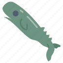 sperm, whale, herring, large, mammal, sea, beluga