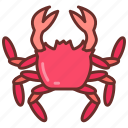 crab, crayfish, crawfish, lobster, shrimp, prawn