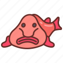 blobfish, fish, ugliest, animal, predator