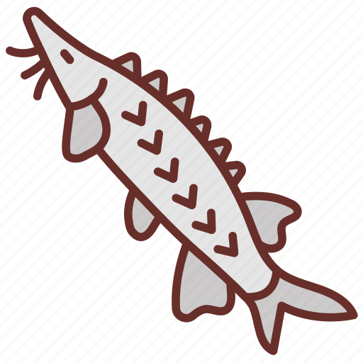 Sturgeon, albacore, beluga, tuna, fish, bowfin icon - Download on Iconfinder