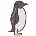 penguin, aquatic, bird, flightless, crested, jackass, rockhopper