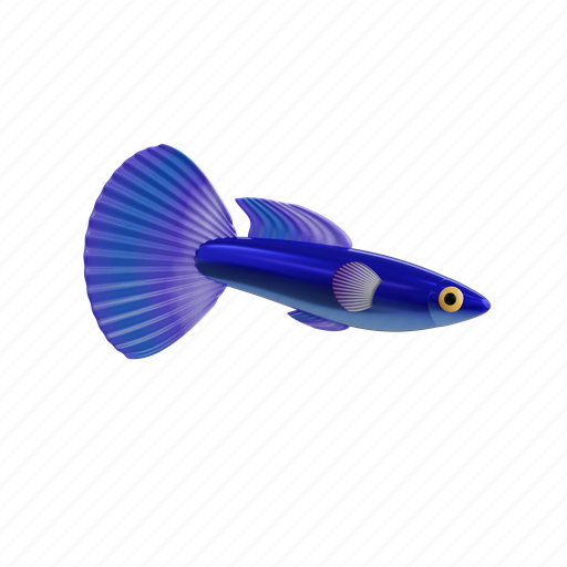 Guppy, aquarium, water, fish, tropical, colorful, tail icon - Download on Iconfinder