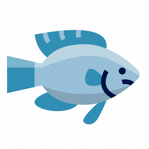 Ambon, damsel, animal, fish, sea, ocean, aquatic icon - Download on Iconfinder