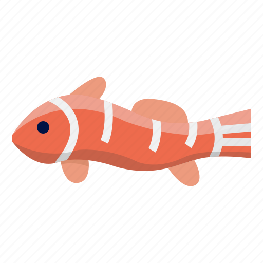 Clownfish, animal, fish, sea, ocean, aquatic icon - Download on Iconfinder