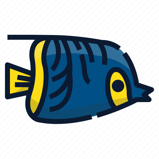 Angelfish, animal, aquatic, sea, ocean, fish icon - Download on Iconfinder