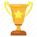 award, prize, star trophy, achievement, winning cup