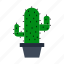 cactus, decoration, flower, flowerpot, office, plant, room 