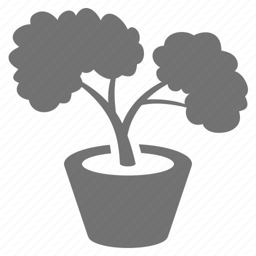 Bonsai, decoration, nature, pot, relaxing, tree icon - Download on Iconfinder