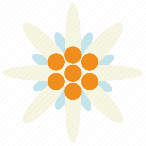 Edelweiss, flower, edelweiss flower, floral, spring, bavaria icon - Download on Iconfinder