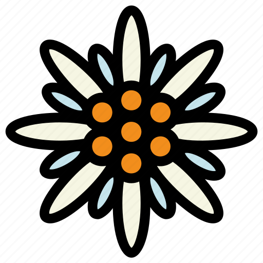 Edelweiss, flower, edelweiss flower icon - Download on Iconfinder