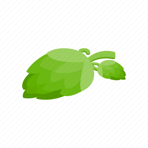 Beer, botany, brew, flavor, hop, isometric, plant icon - Download on Iconfinder