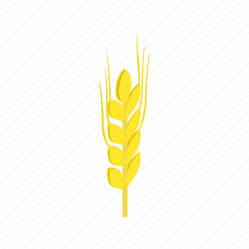 Agriculture, barley, beer, food, harvest, isometric, plant icon - Download on Iconfinder